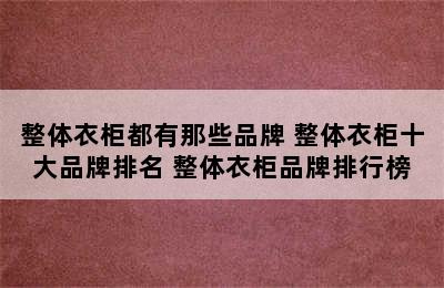 整体衣柜都有那些品牌 整体衣柜十大品牌排名 整体衣柜品牌排行榜